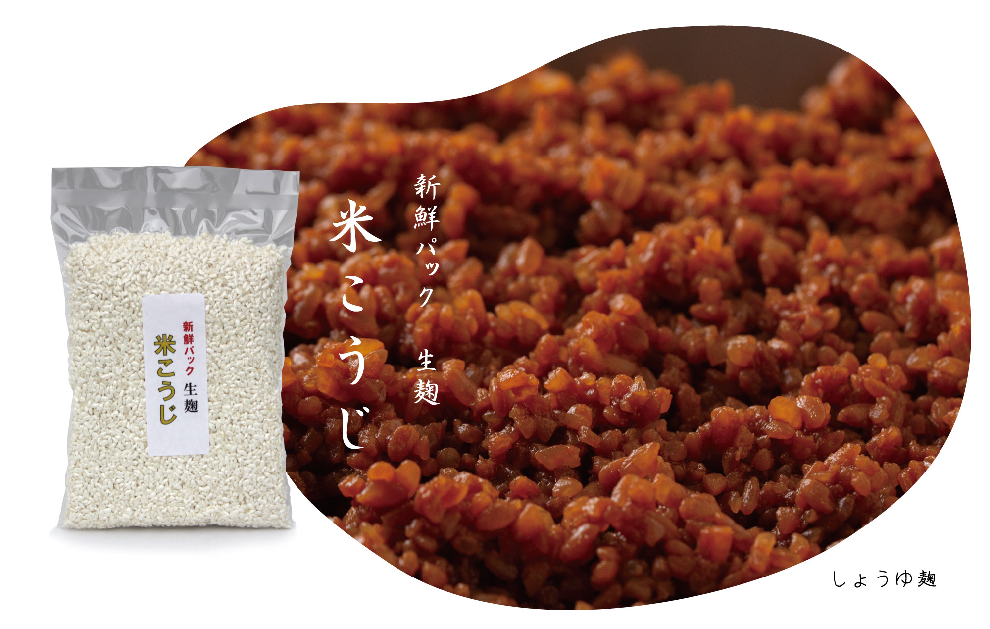 生麹　米こうじ